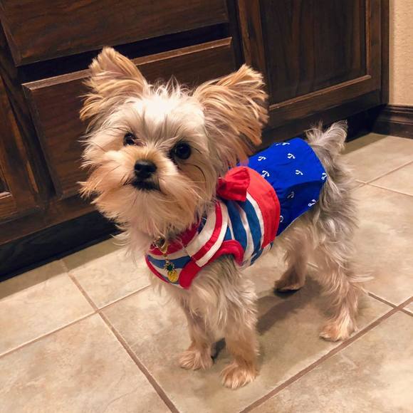 Meet your Posher, Anna - Picture 6 of 6